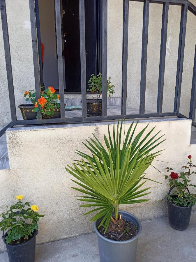 House B&B Mestia Extérieur photo