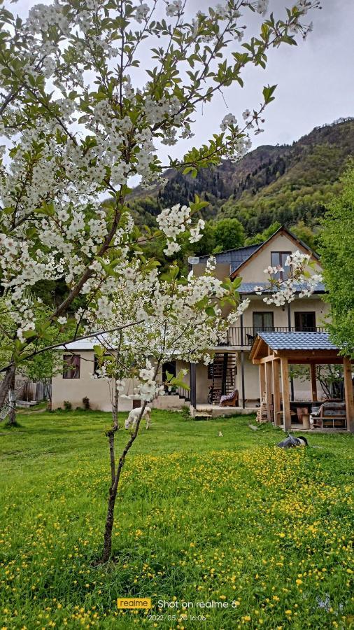 House B&B Mestia Extérieur photo