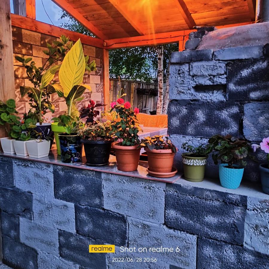 House B&B Mestia Extérieur photo