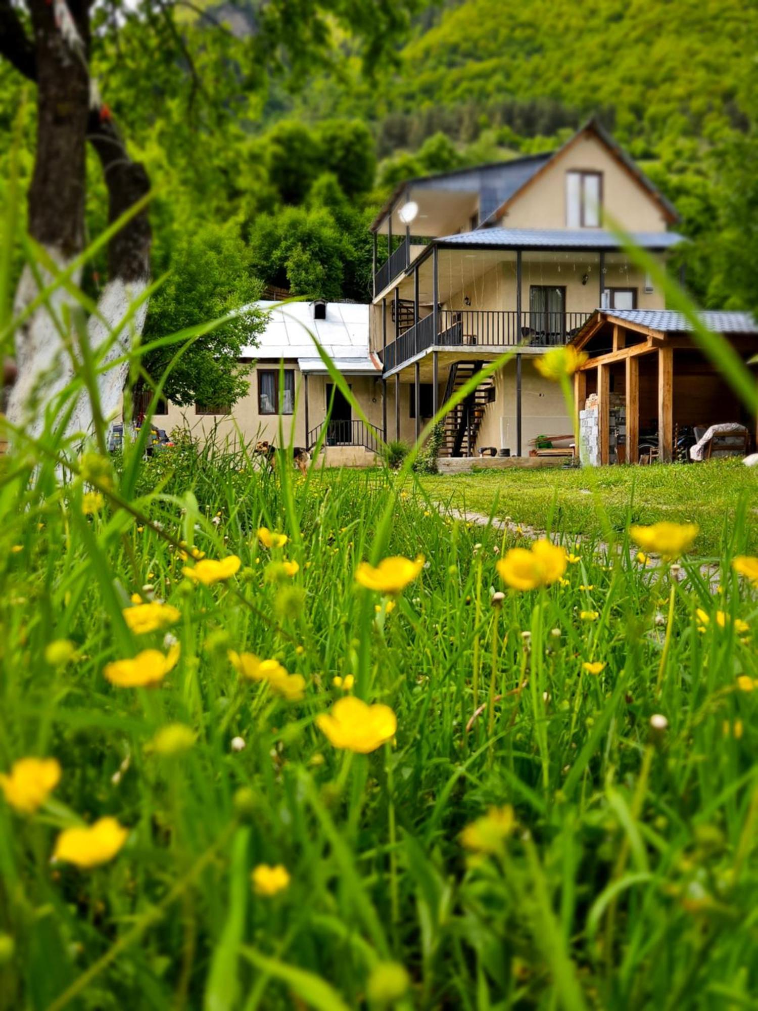 House B&B Mestia Extérieur photo