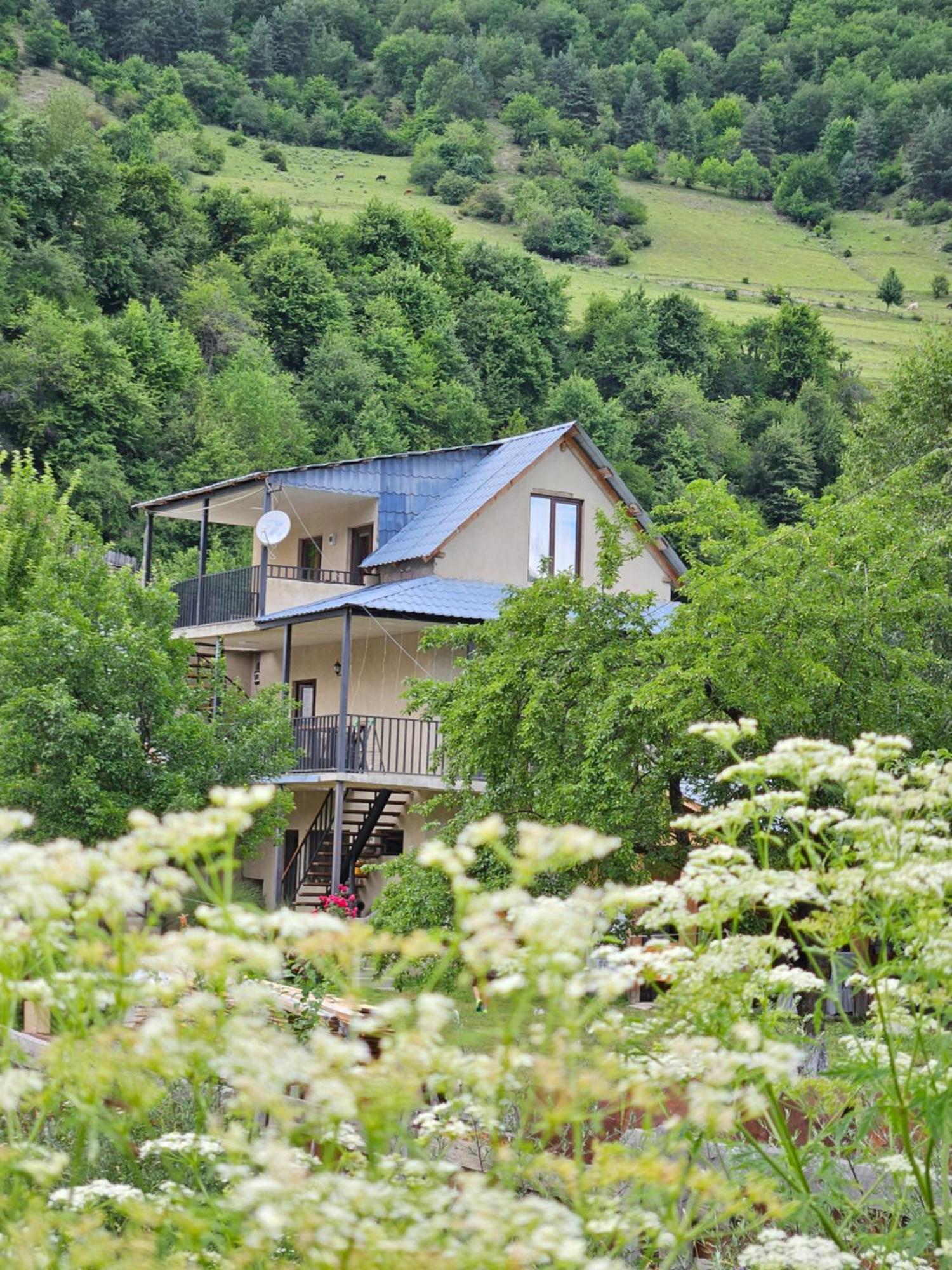 House B&B Mestia Extérieur photo